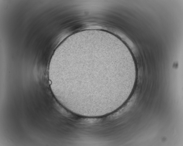 X0000102801193200809150921