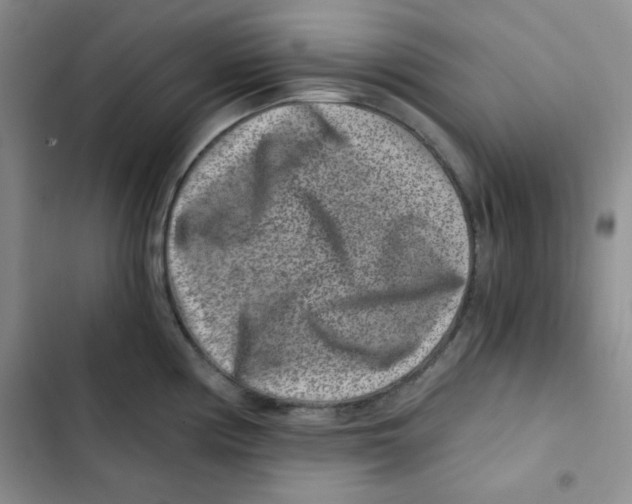 X0000102801194200809150921