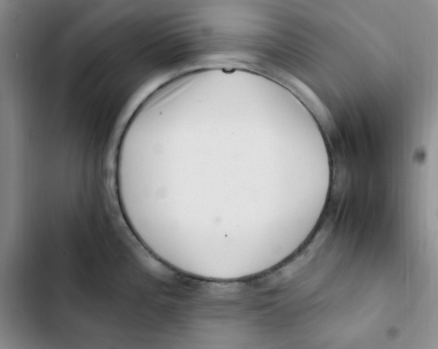 X0000102801196200809150921