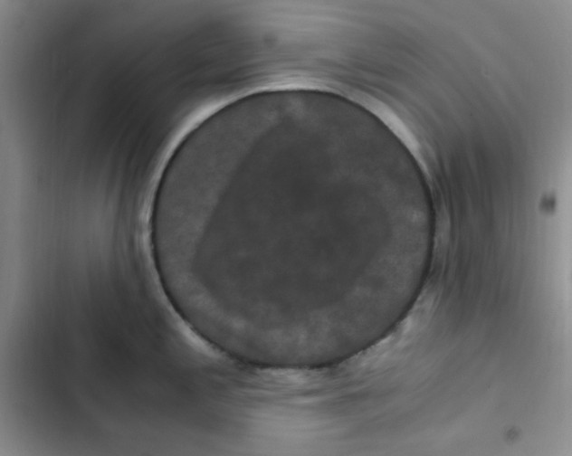 X0000102801197200809150921