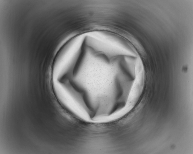 X0000102801198200809150921