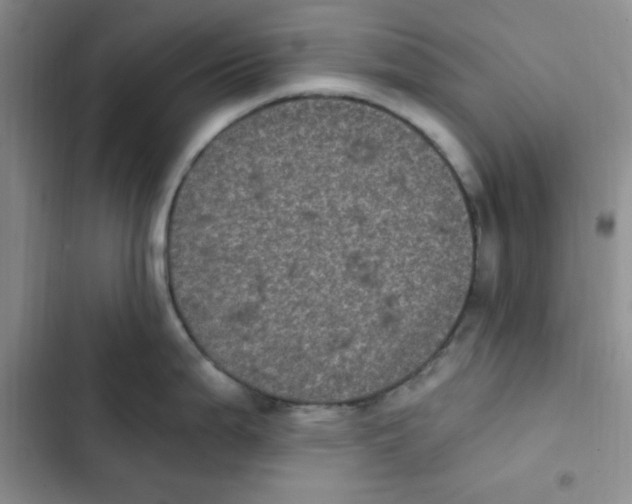 X0000102801199200809150921