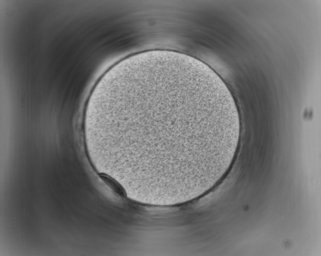 X0000102801200200809150921