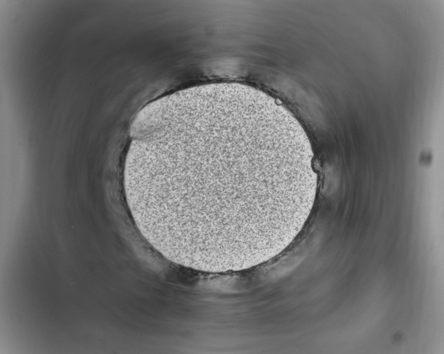 X0000102801201200809150920