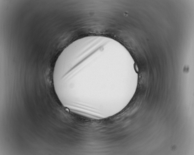 X0000102801202200809150920