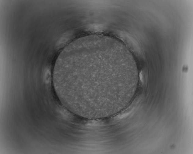 X0000102801203200809150920