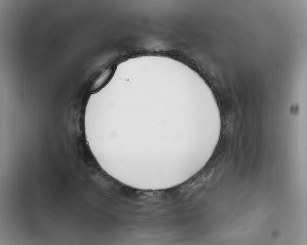 X0000102801205200809150920