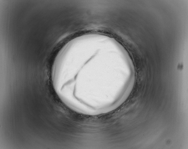 X0000102801206200809150920