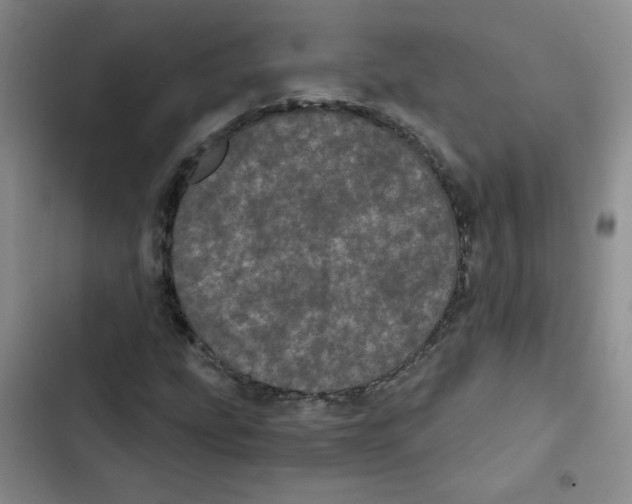 X0000102801207200809150920