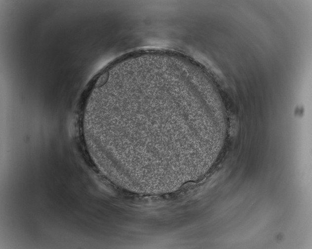 X0000102801208200809150920