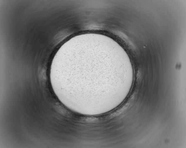 X0000102801209200809150920