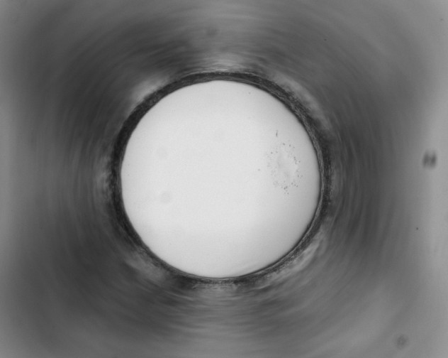 X0000102801210200809150920