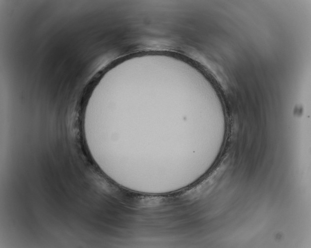 X0000102801211200809150920