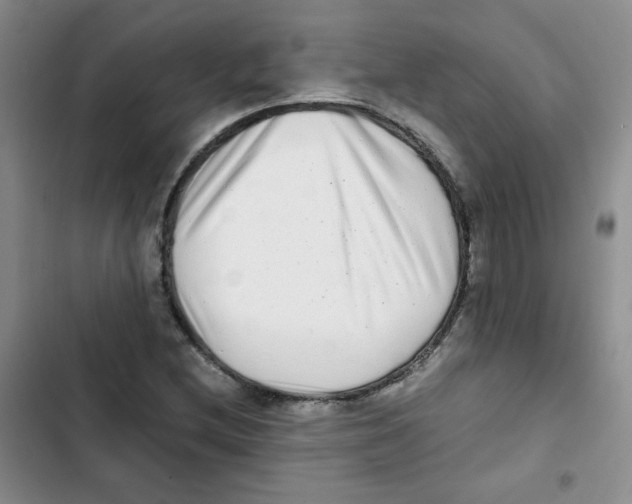 X0000102801212200809150920