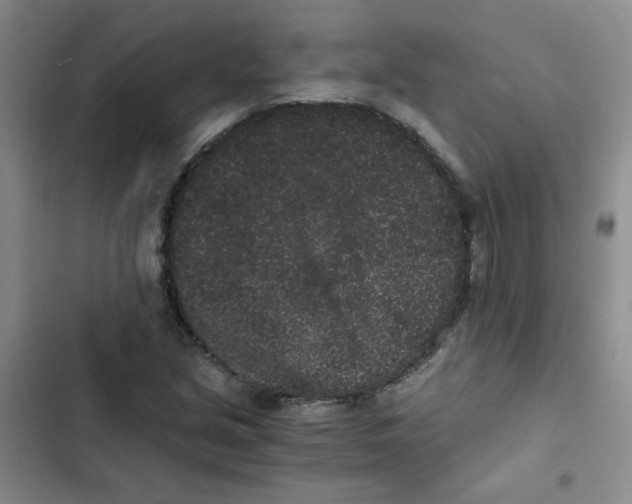 X0000102801213200809150920