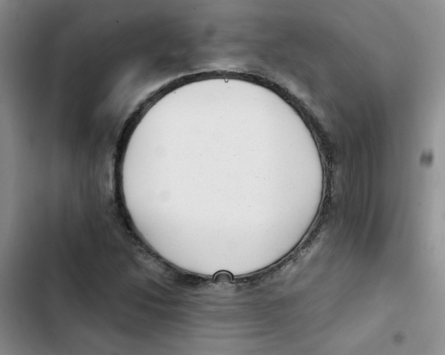 X0000102801214200809150920