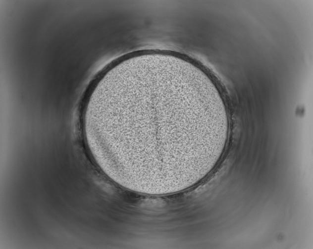 X0000102801215200809150920