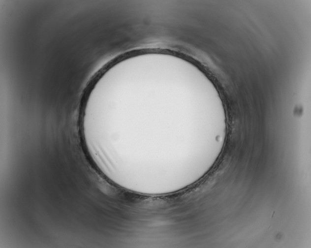 X0000102801216200809150920