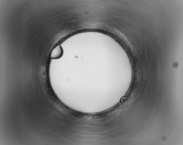 X0000102801218200809150921