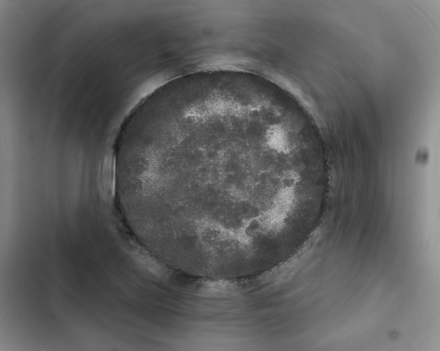 X0000102801219200809150921