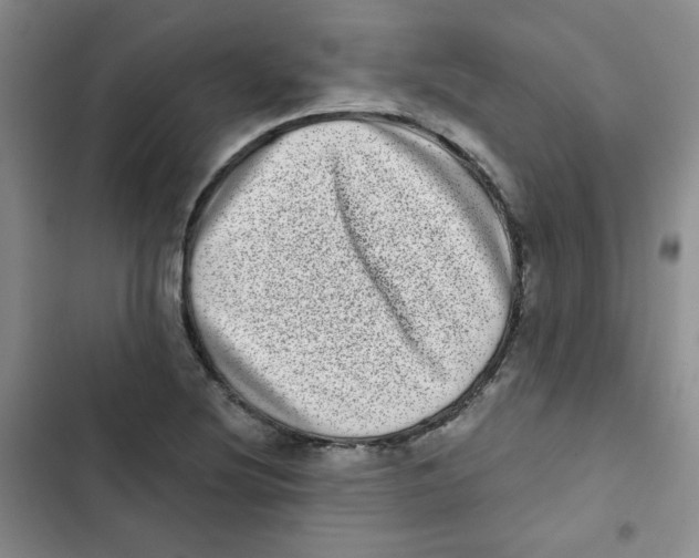 X0000102801220200809150921