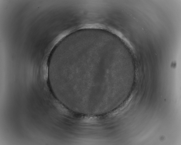 X0000102801221200809150921