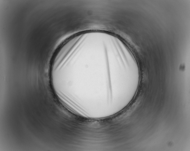 X0000102801222200809150921