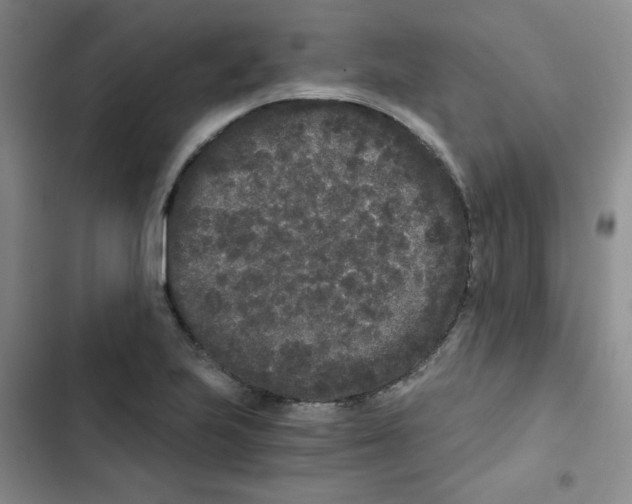 X0000102801223200809150921