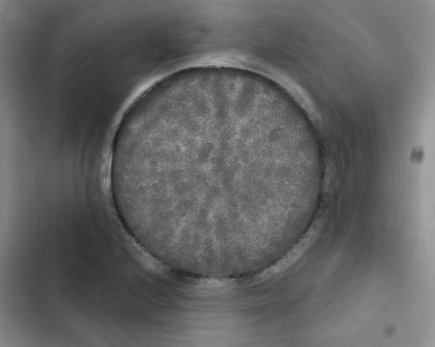 X0000102801224200809150921