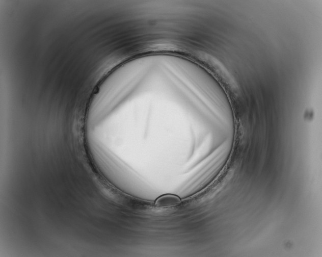 X0000102801225200809150921