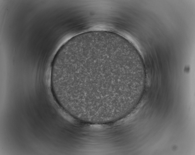 X0000102801227200809150921