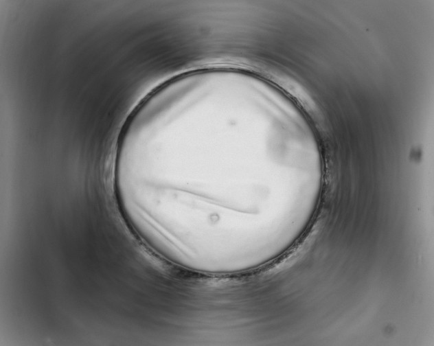 X0000102801228200809150921