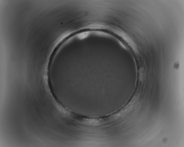 X0000102801229200809150921