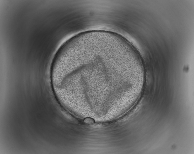 X0000102801230200809150921