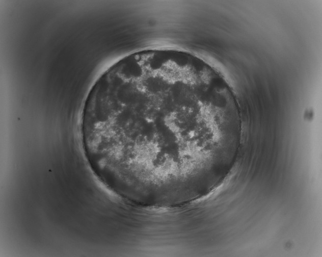 X0000102801231200809150921