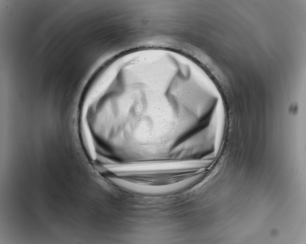 X0000102801232200809150921