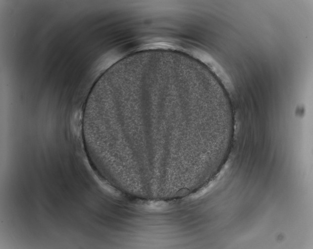 X0000102801233200809150921