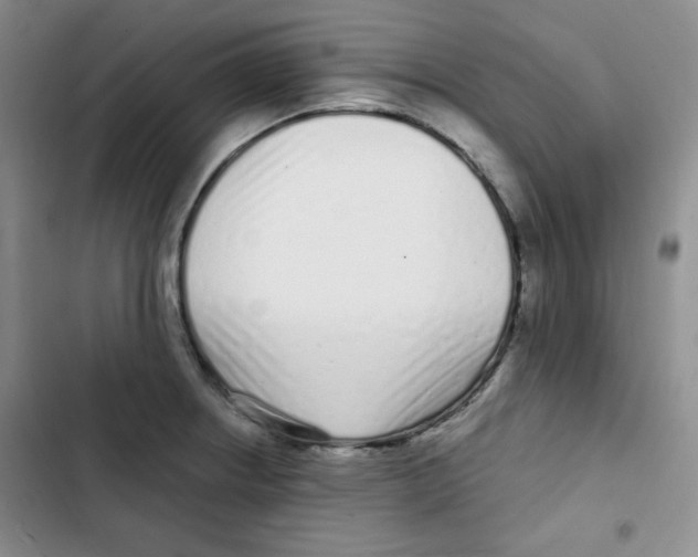 X0000102801234200809150921