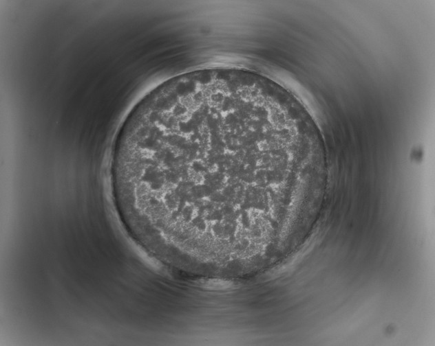 X0000102801235200809150921