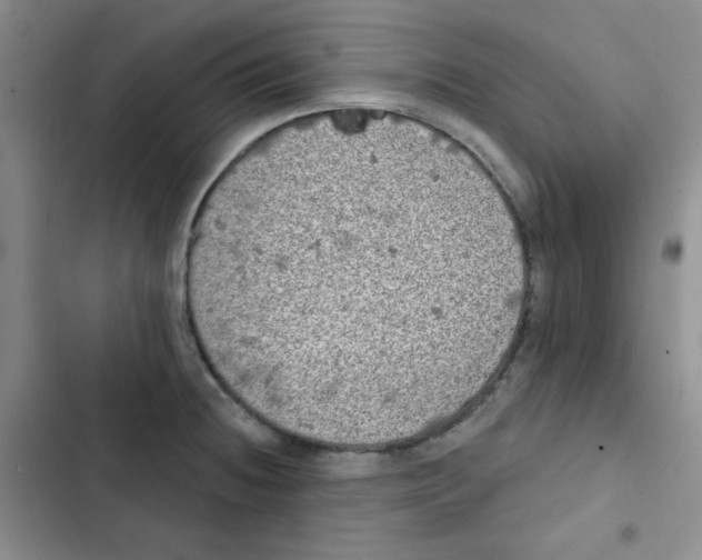 X0000102801236200809150921