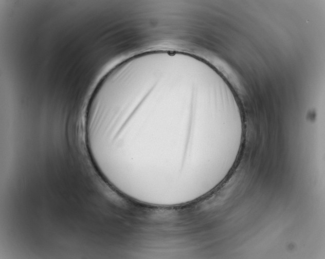 X0000102801238200809150921