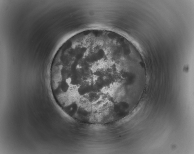 X0000102801239200809150921