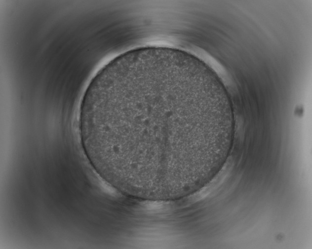 X0000102801240200809150921