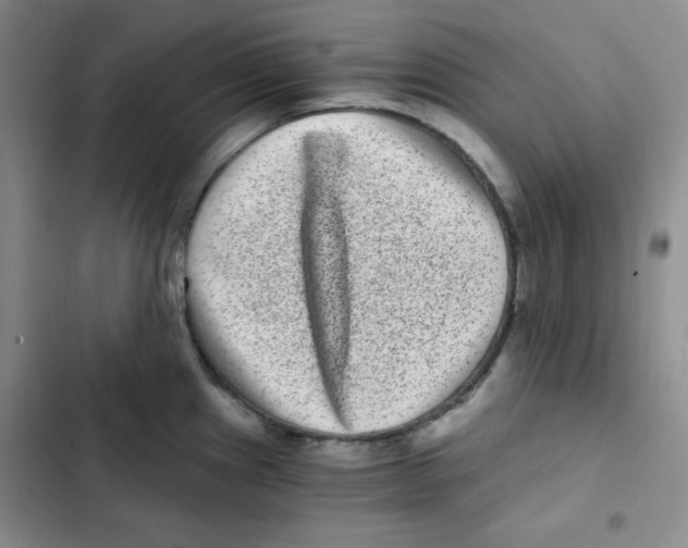 X0000102801241200809150921