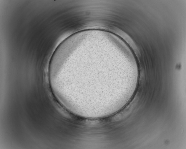 X0000102801242200809150921