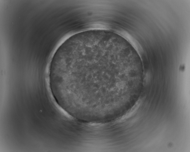 X0000102801243200809150921