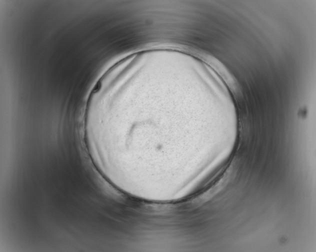 X0000102801244200809150921