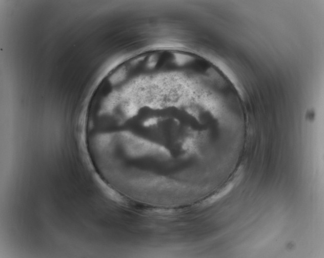 X0000102801245200809150921