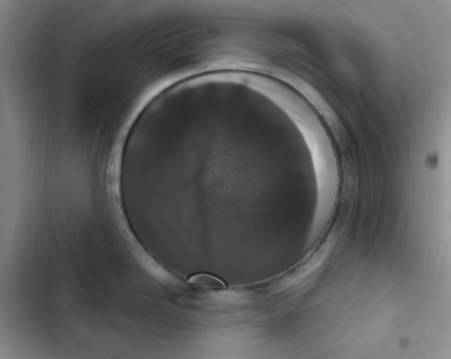 X0000102801246200809150921