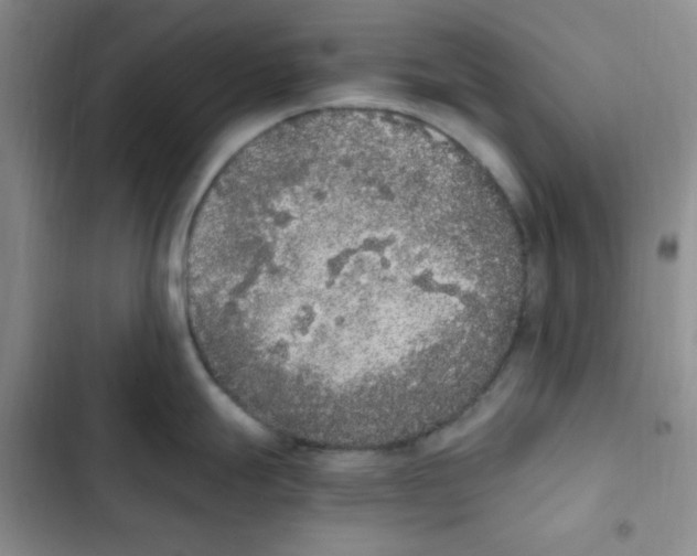 X0000102801247200809150921